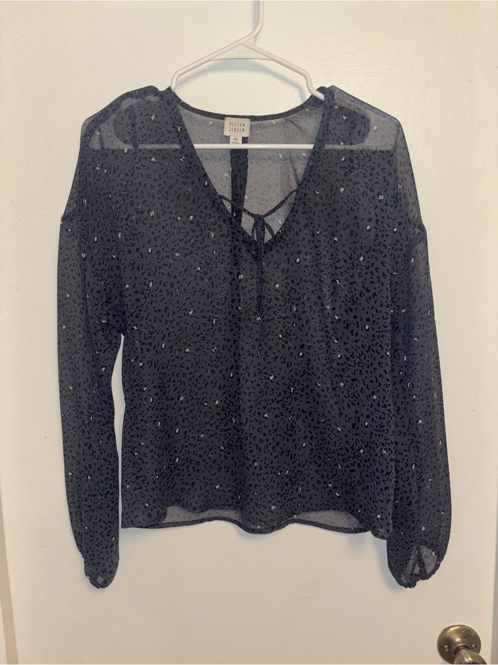 Blue Sheer V-Neck Blouse with Metallic Spot Print